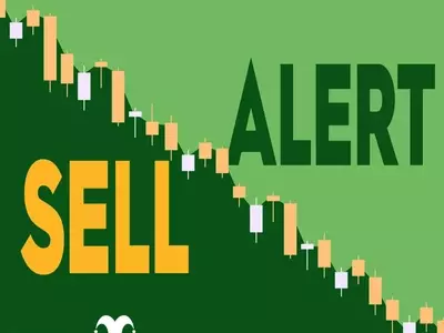 Life360 Director's Stock Sale: No Cause for Investor Concern