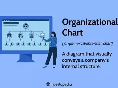 Understanding Organizational Charts: Structure, Types, and Importance