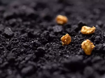 Idaho Strategic Resources: High Potential for Growth with Solid Financials