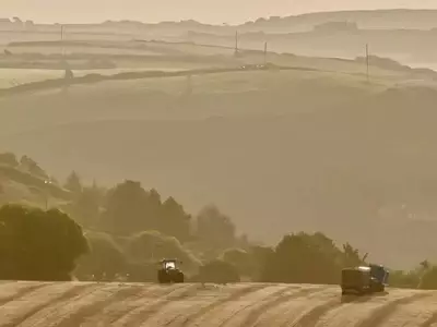 Políticas agroambientales: un pilar para la vitalidad del suelo agrícola