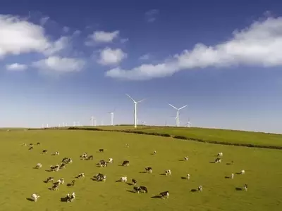 Clean Energy Fuels: High-Risk Investment Amidst Market Volatility