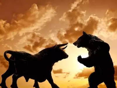 Identifying Resilient Stocks Amidst Market Downturns