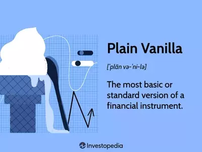 Understanding Plain Vanilla Financial Instruments