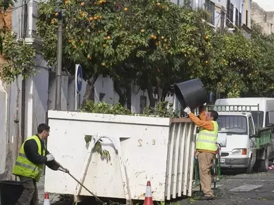 La Importancia Fundamental del Arbolado Urbano en España: Gestión y Desafíos Futuros