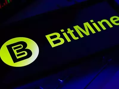 Bitmine Reduces Ethereum Acquisition Amidst Stock Buyback Initiative