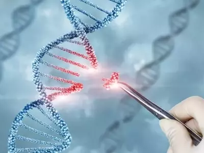Scribe Therapeutics Embarks on IPO Journey for CRISPR Gene-Editing Pipeline