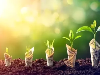 Investing in Undervalued Real Assets: A Strategic Approach