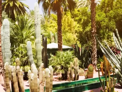 Guía Definitiva para la Creación de Jardines Sostenibles: Minimizando el Uso de Agua
