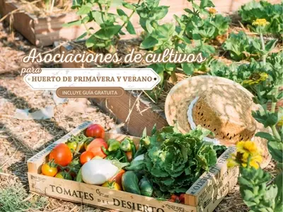 Estrategias Avanzadas de Cultivo Asociado para Jardines Urbanos