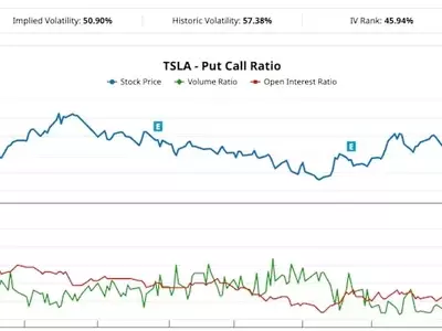 Expert Predicts Tesla Stock Decline, Options Market Reacts with Massive Bet
