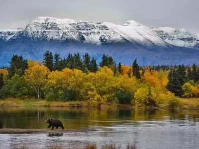 Northern Dynasty Minerals: A Risky Bet on Pebble Project