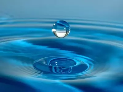 Navigating the Market: Is the AI Bubble a Myth?