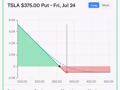 Protecting Tesla Investments Against Potential Downturns