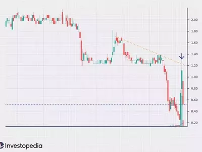 Understanding Bull Traps in Financial Markets