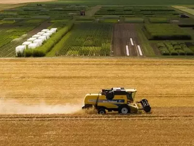 Recuperación del Suelo: Un Impulso Crucial para la Seguridad Alimentaria Global