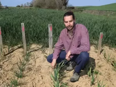 La Vital Conservación de Semillas Tradicionales en España: Un Tesoro Genético para el Futuro Agrícola