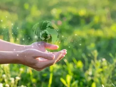 Navigating the Evolving Landscape of Corporate Sustainability