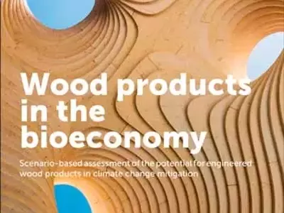 El Futuro de la Construcción Sostenible: Productos de Madera de Ingeniería en la Bioeconomía