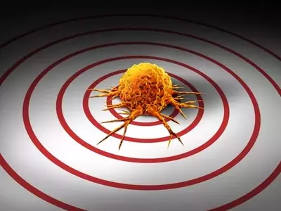 Inhibrx Biosciences: Navigating Oncology Drug Development with Cautious Optimism