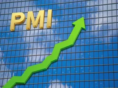 Global Economic Resilience: July PMI Surveys Indicate Stronger Growth Amid Geopolitical Tensions