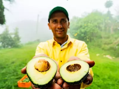 Mission Produce: A Post-Merger Assessment