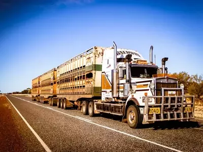 Transportation Sector Performance: A Tale of Two Trends Amid Rising Fuel Costs