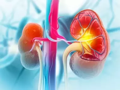 Eledon Pharmaceuticals: High Upside Potential in Tegoprubart Despite Single-Asset Risk