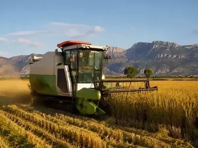 El arroz de Pego (Alicante) afronta una campaña crítica por la escasez de fitosanitarios