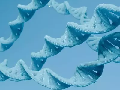Design Therapeutics Faces Market Scrutiny Over Friedreich's Ataxia Drug Data