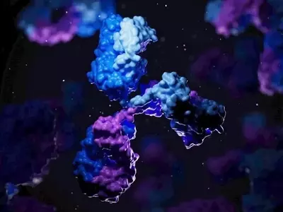 Immunovant's IMVT-1402: A Promising Antibody for Autoimmune Diseases
