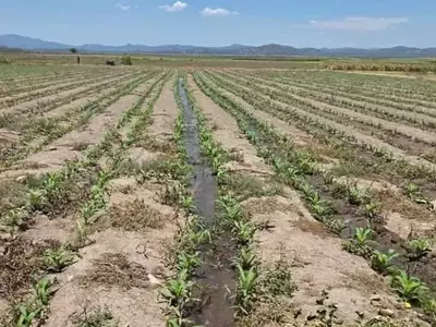 El Salvador busca asegurar su producción agrícola con un ambicioso plan de riego