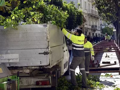 La Poda de Árboles Urbanos en Verano: Un Debate entre Seguridad y Conservación en Ciudades Españolas