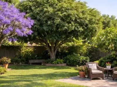 Árboles Ideales para Jardines Pequeños: Guía de Especies con Raíces No Invasivas