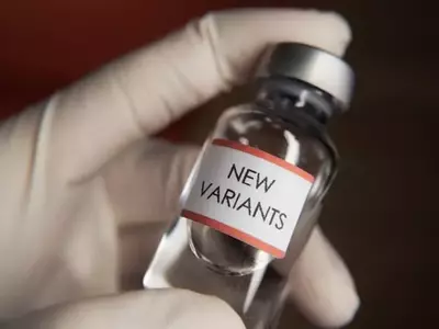 Novavax's Strategic Pivot: Undervalued Biopharma with High Growth Potential