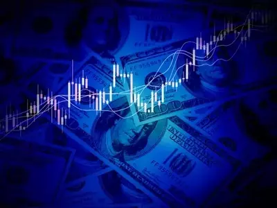 Diversified S&P 500 Exposure: A Strategy Against Market Distortions