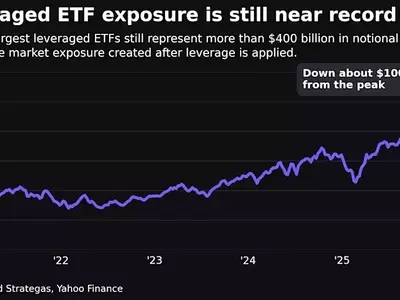 Leverage's High Price: Examining the Impact of the Chip Market Downturn