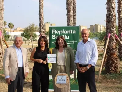 Iniciativas de Reforestación Urbana: Transformando Ciudades y Mejorando la Calidad Ambiental