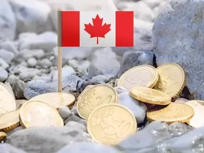 ClearBridge Canadian Small Cap Strategy's Q2 Performance Analysis