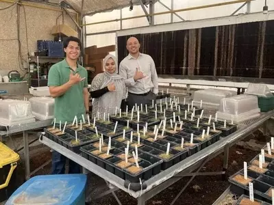 Innovación Foliar para Tomates en Suelos Salinos: Un Avance Prometedor