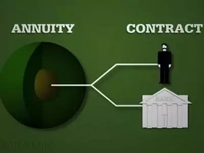 Understanding Annuity Surrender Periods and Fees