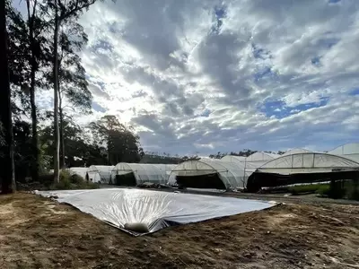Australia Lidera en Reducción de Nitratos con Biorreactores de Astillas de Madera