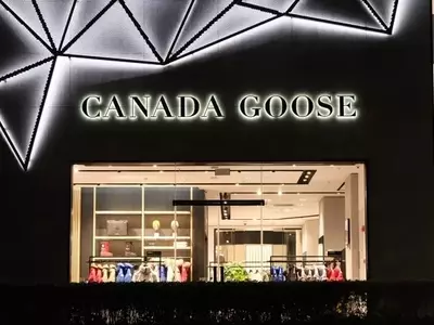 Canada Goose: Navigating Seasonal Shifts and Global Market Dynamics
