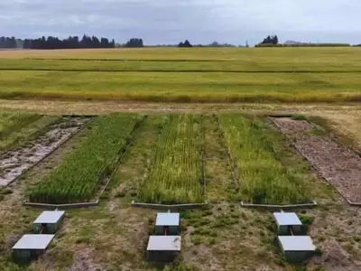 Prácticas Agrícolas Integradas Reducen Drásticamente la Erosión del Suelo en la Región Pampeana