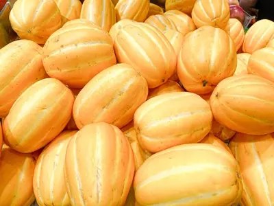 A Connoisseur's Guide to Selecting the Perfect Melon