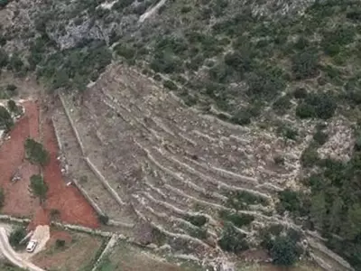 El Renacimiento del Algarrobo en España: Un Cultivo con Futuro Sostenible
