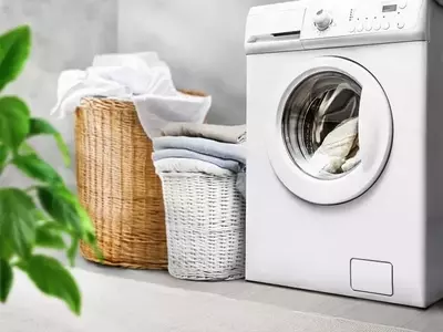 EVI Industries: Navigating Growth and Profitability