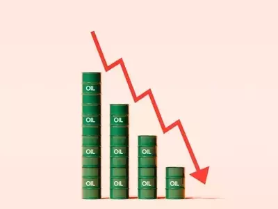 Analyzing ARK Innovation ETF: Risks and Alternatives