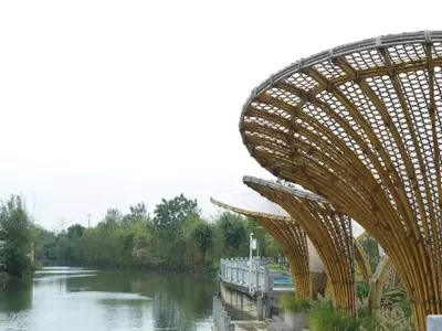 Innovación Ecológica: El Bambú Redefine la Arquitectura Sostenible
