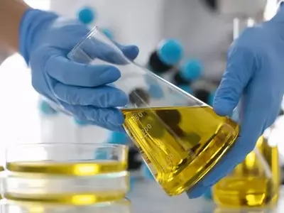 Minerals Technologies Inc. Transforms Basic Materials into High-Value Products