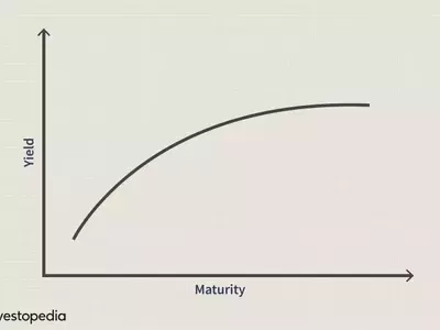 Understanding the Flat Yield Curve: Economic Signals and Investment Strategies